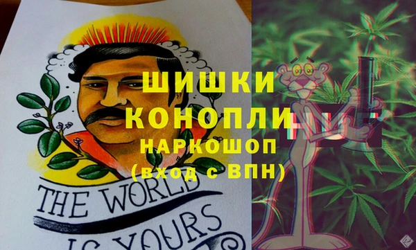 амф Зеленодольск
