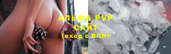 амф Зеленодольск