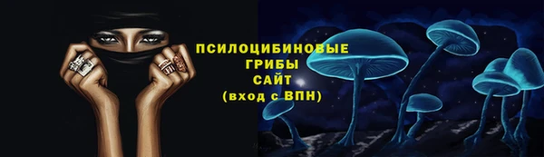 амф Зеленодольск