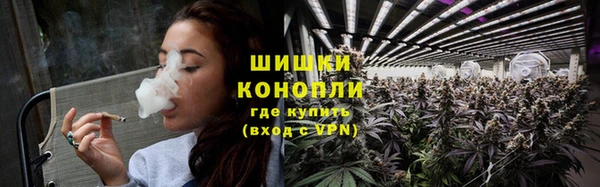 PSILOCYBIN Алапаевск