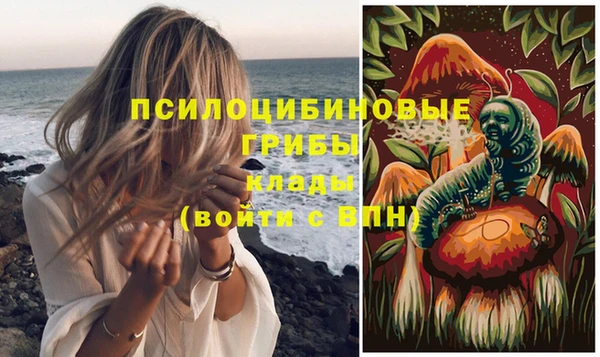мдпв Зерноград