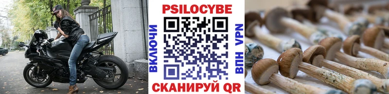 Галлюциногенные грибы Psilocybine cubensis  Купить закладки  Каргополь 